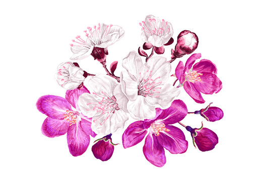 botanical flower arrangement spring plants. pink and white flowers on the branches of the first flow
