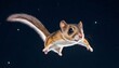 A Flying Squirrel Soaring Through The Night Sky