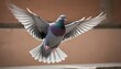 A Pigeon With Its Wings Fluttering Nervously