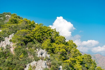 Wall Mural - Mountains covered with forest and blue sky. Mountains and sky with clouds over the ancient city of Olympos in Turkey.