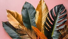 Close Up Tropical Leaves Gold Orange And Black With The Pink Background Feather On The Sand