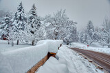 Fototapeta  - Snowy landscape in Colorado Springs