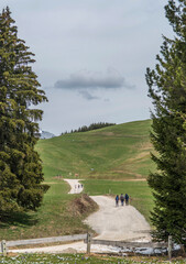 Poster - Piste carrossable du le plateau des Glières au Petit-Bornand-les-Glières, Haute-Savoie, France