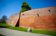 Gotyckie mury zamku krzyżackiego, Toruń, Poland