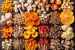 Assorted mushrooms arrayed in a colorful pattern, showcasing the variety of textures and sizes