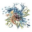 Watercolor sea turtle with seaweed and water splashes , algae. illustration for greeting cards, invitations, and other printing and web projects. Eco concept