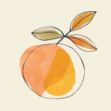 Fototapeta  - drawing of orange and citrus on a white background. Square frame.