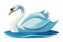 Swan In The Water, Flat Style, Vector Illustration Artwork