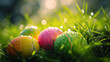 Easter background colorful Easter eggs hidden in grass