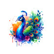 Beautiful watercolor peacock isolated on a transparent background
