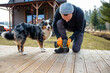 Man working on a deck or terrace  with his loyal dog companion in the yard of a countryside home