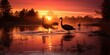 Sunrise Silhouettes - Nature's Dazzling Dawn in Mesmerizing Frames Experience nature's dazzling dawn in mesmerizing frames with Sunrise Silhouettes. Capture the silhouettes, vibrant hues, 