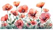 Watercolor poppy flowers. Beautiful illustration of poppies in space