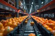 Rows of fresh, ripe oranges sorted in a modern warehouse with focus on a single fruit and blurred background