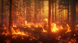 Wild Fire Forest Wild Fire Aspect 16:9