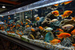 a fish tank full of colorful tropical fish in a pet store