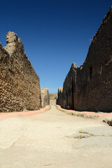 Wall Mural - Ancient roman city of Pompeii on the shadow of Mount Vesuvius 