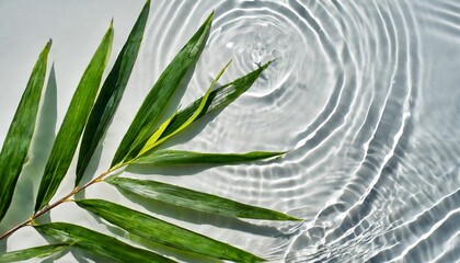 Wall Mural - spa background banner with green bamboo leaf on white water wave in sunlight concept with copy space for travel cosmetics and beauty care