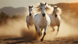 Fototapeta Przestrzenne - Two white horse with long mane run in sandy dust