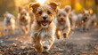 A joyful puppy playtime scene in a sunny park, with fluffy puppies tumbling and chasing, exuding happiness and energy