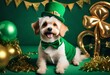 golden retriever with patricks day theme, banner green hat ballons in the background
