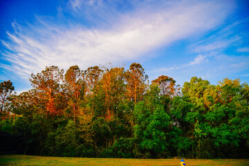 Wall Mural - beautiful florida communit sun rise