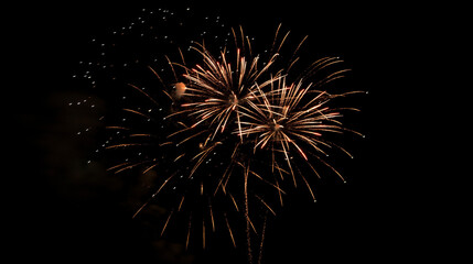 from below shot of wonderful vivid fireworks exploding on background of black night sky.