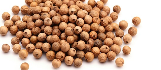 Wall Mural - A Rich Harvest of Fresh and Natural Hazelnuts Ready for Cooking and Snacking