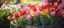 Vibrant Spring Bouquet With Colorful Tulips In A Rustic Wicker Basket