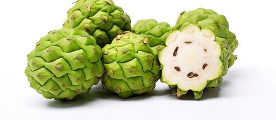 Poster - Vibrant Green Hop Cones Displayed in Abundance - A Refreshing Touch of Nature