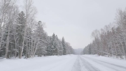 Wall Mural - slow motion driving along remote snowy winter roads through forests, japan