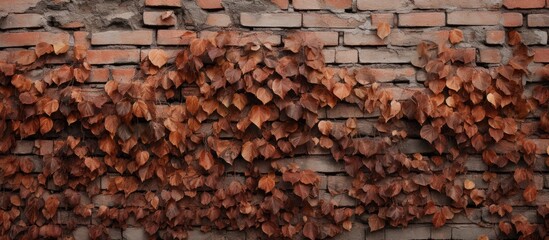 A detailed closeup shot of brown brickwork with small leaves growing on a building wall, showcasing the natural integration of landscape and building material