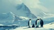 A family of penguins huddled together for warmth on a snowy Antarctic landscape