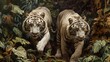 A pair of regal white tigers prowling through dense jungle undergrowth