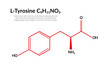 Tyrosine (l-tyrosine, Tyr, Y) amino acid molecule. Skeletal formula.