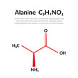 Alanine (Ala, A) amino acid, molecular structural chemical formula