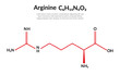 Arginine molecule amino acid chemical skeletal structural formula