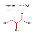 Cysteine (symbol Cys or C) C3H7NO2S amino acid, molecular structural chemical formula