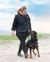 Canvas Print - obedience training with a rottweiler