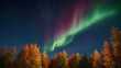 Majestic Sky with Aurora and Stars: Blue Northern Light 1




