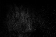 White grainy texture. Abstract dust overlay. Grain noise. White explosion on black background. Splash light realistic effect. Vector illustration, eps 10.	
