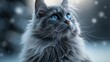portrait of a gray long haired cat
