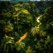 Tropical Forest With Tropical Island