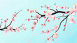 sakura hanami cherry blossom branch on blue background