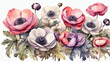 Watercolor Anemones