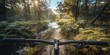A bike is being ridden through a forest with a sun shining through the trees