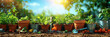  gardening tools and plants in pots in field with sunlight and blu sky background.  banner