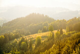 Fototapeta Na ścianę - A magical morning scene in the mountains. Carpathian National Park, Ukraine, Europe.