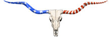 Texas longhorn skull Texas cow head with the stars and stripes of the USA flag isolated on transparent background ready for print