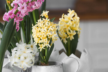 Wall Mural - Spring hyacinth flowers on a white table. In the background is a white Scandinavian-style kitchen. Spring decor in the house.